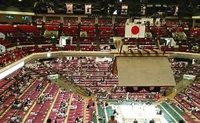 Image result for Tokyo Sumo Seating