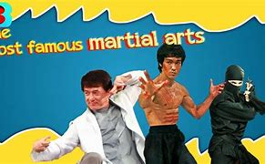 Image result for Best Martial Arts