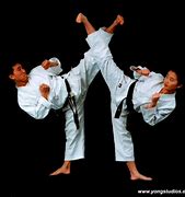 Image result for Martial Arts Kick