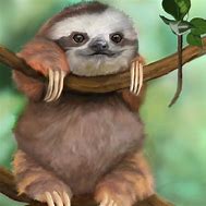 Image result for Sloth Desktop