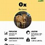 Image result for Strong Ox