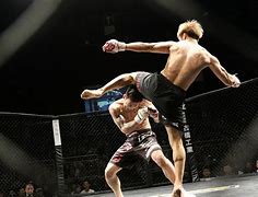 Image result for Mixed Martial Arts Muscle