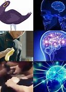 Image result for Galaxy Brain Meme Anime School