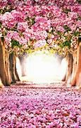 Image result for Spring iPad Wallpaper