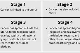 Image result for uterine cancers stage
