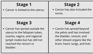 Image result for Endometrial Cancer Staging