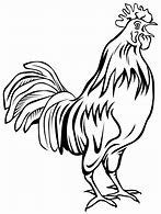 Image result for Coq Dessin Noir Et Blanc