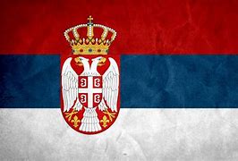 Image result for Flag of Serbia Modern