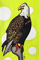 Image result for Bald Eagle Drawing Cartoon