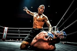 Image result for MMA Fighting