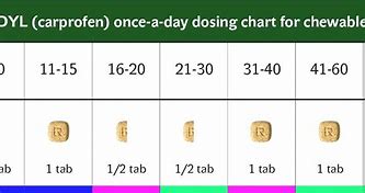 Image result for Types of Tablets Chart