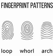 Image result for iPhone 5S Fingerprint