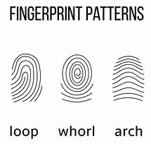 Image result for Basic Fingerprint Types