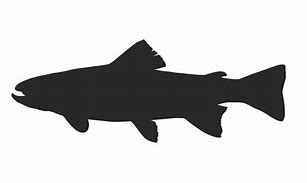 Image result for Trout Fish Silhouette Clip Art