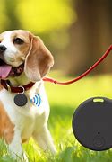 Image result for Verizon Pet GPS