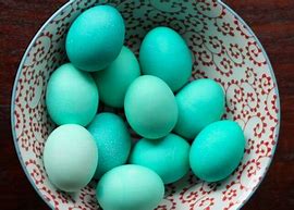 Image result for Easter Gumdrops