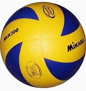 Image result for Volleyball Team Picture Ideas