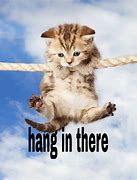 Image result for Hang It Up Meme