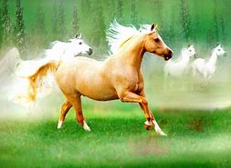 Image result for Wild Horses Running Wallpaper