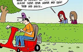 Image result for Funny Sunday Comics