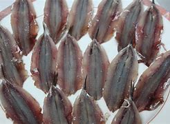 Image result for anchoar