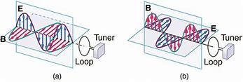 Image result for Loop Antenna Pattern