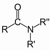 Image result for amide