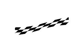 Image result for NASCAR Flag Stripes Pin Art