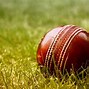 Image result for All Out Cricket
