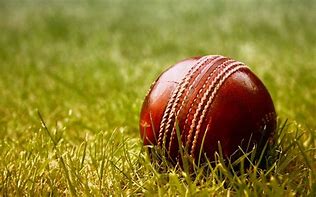 Image result for Blue Cricket Background