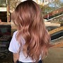 Image result for Rose Brown Hair Color