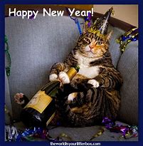 Image result for Happy New Year Animal 2012