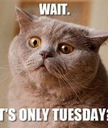 Image result for Crazy Tuesday Memes
