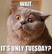 Image result for Tear It Up Tuesday Meme