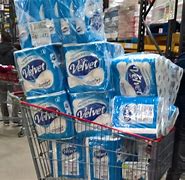 Image result for Toilet Roll Panic Buying