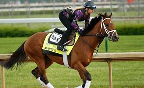 Image result for Racing Horse and Jockey