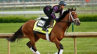 Image result for Race Horse Training