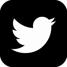 Image result for Twitter Silhouette