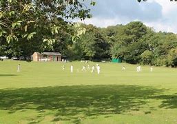 Image result for Addington Village Cricket Club Logo