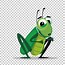 Image result for Cricket Insect Vector