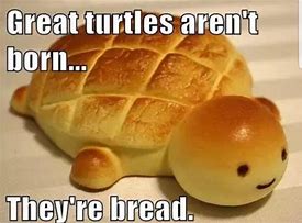 Image result for Cute Bread Meme