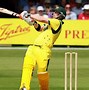 Image result for Australian Cricket Players