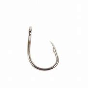 Image result for Heavy Duty Fish Hooks