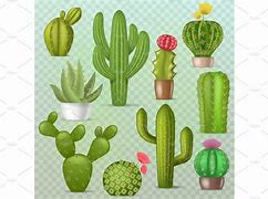 Image result for Cactus Graphic