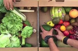 Image result for Organic Food Delivery Boxes