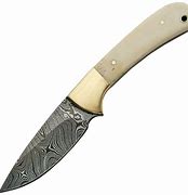 Image result for Bone Handle Knives Costa Rica