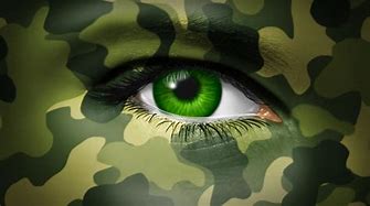 Image result for Army 3D Logo