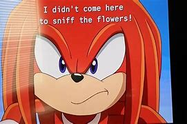 Image result for Knuckles Shut Up Sonic X