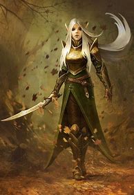 Image result for Elf Warrior Queen