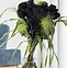 Image result for Black Rose Bouquet
